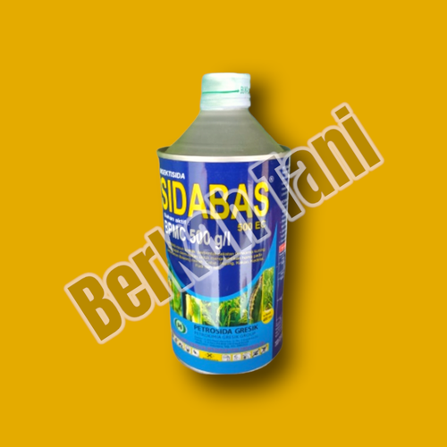 PhotoRoom 20220405 211136 3.png