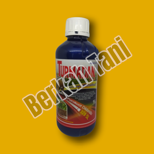 PhotoRoom 20220404 160505 3.png