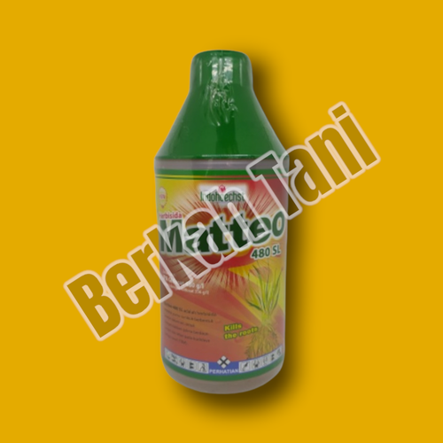 PhotoRoom 20220404 160505 9.png