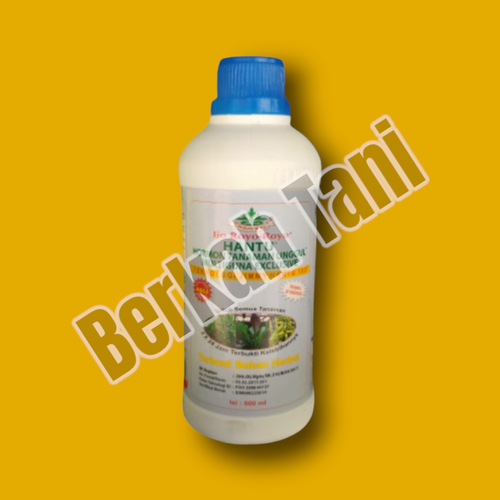 PhotoRoom 20220404 173523 1.png