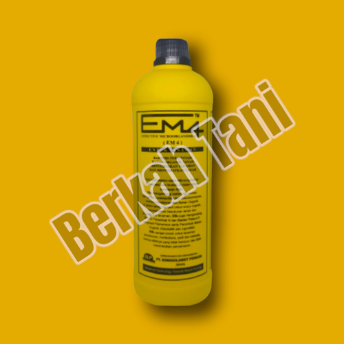 PhotoRoom 20220404 213312 6.png