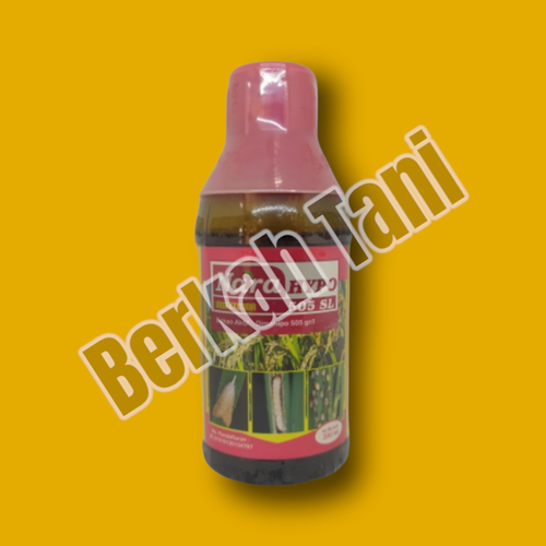 PhotoRoom 20220404 213312 4.png