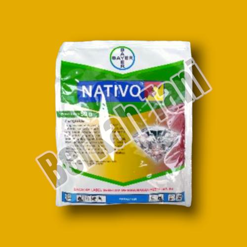 PhotoRoom 20220405 211435 2.png