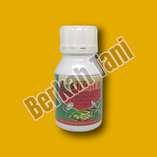 PhotoRoom 20220405 210857 3.png