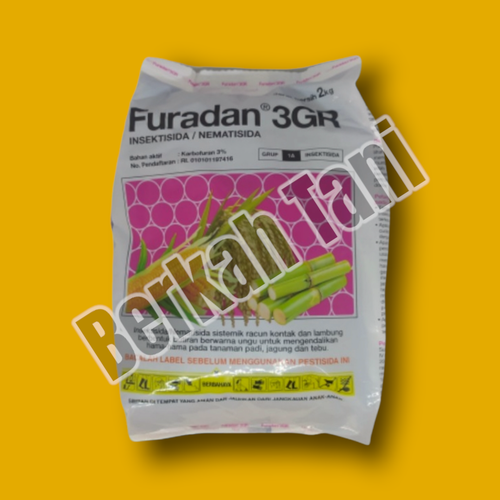 PhotoRoom 20220404 213312 9.png