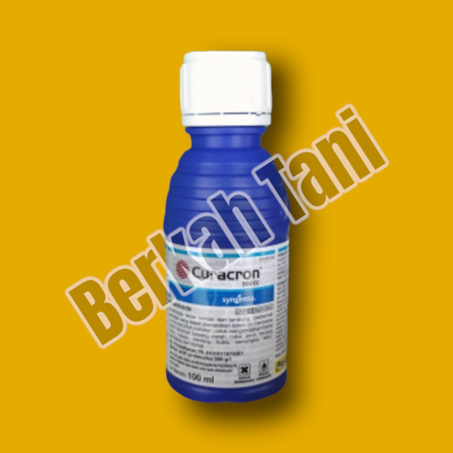 PhotoRoom 20220404 160505 5.png