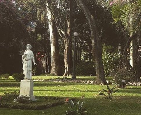 25009188 136901766993482 4466619207332659200 n (2).jpg