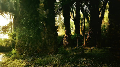 25015375 1563006700459563 309420104112668672 n.jpg