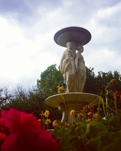 26866967 558813791139752 6408414105568280576 n.jpg