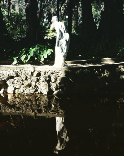 28157663 193717831398774 7311226792512061440 n.jpg