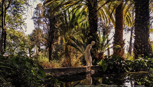 28150766 387824988349316 7306615079967916032 n.jpg