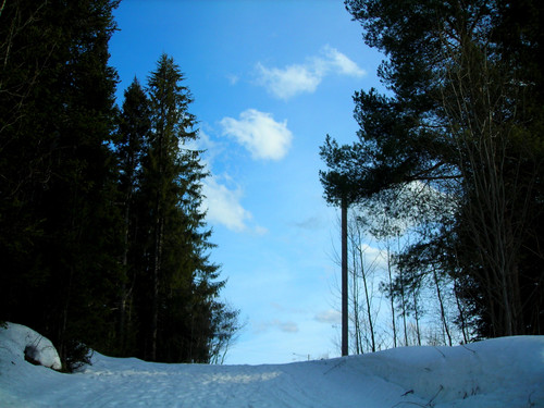 весеннее небо #2 (Foto_3_09.04.2022).jpg