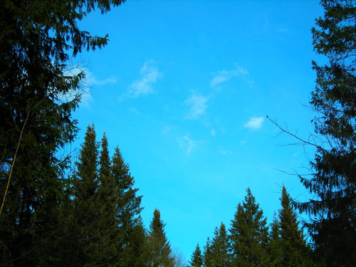 весеннее небо #4 (Foto_6_09.04.2022).jpg