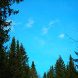 весеннее небо #4 (Foto_6_09.04.2022)
