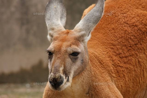 AB7B5EBF 1D91 481B 9639 107374A08965.jpg