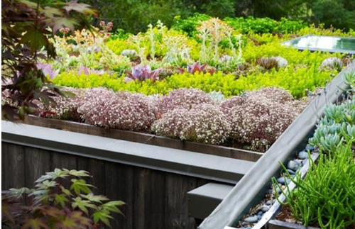 card img detalle (1).png