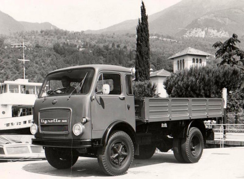 Om Tigrotto 55 (Arch.Om n.08317).jpg