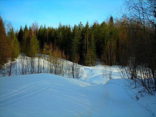 солнце, снег и тени #3 (Foto_22_09.04.2022).jpg