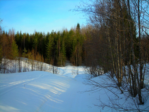 солнце, снег и тени #1 (Foto_20_09.04.2022).jpg