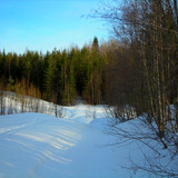 солнце, снег и тени #1 (Foto_20_09.04.2022)