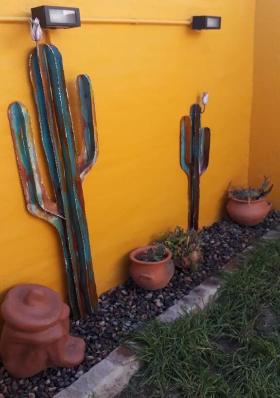 patio con cactus estilo mexicano