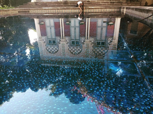 119899285 361139478599990 196685921565114495 n.jpg