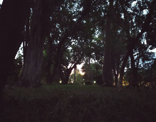 129735529 811618352717342 689835292444727351 n.jpg