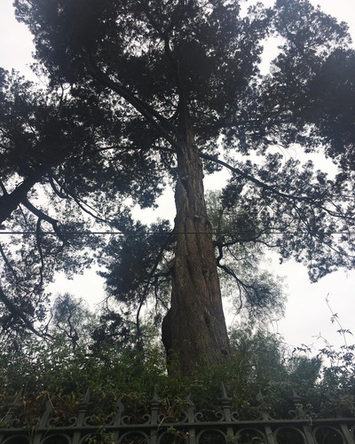 248941513 1324748824626163 7303753940181416140 n.jpg