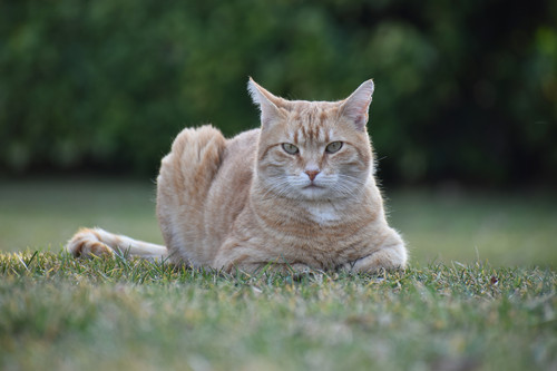 IMG 20220327 123222 510.jpg