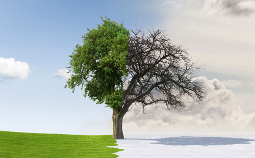 Screenshot 2022 04 10 at 19.42.53.png