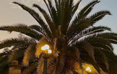 225444131 835187257133408 8344152248921864326 n (2).jpg