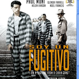 fugitivo
