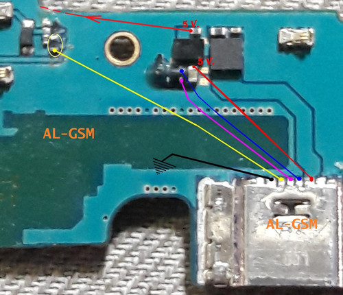 Zocalo J415F hosting.jpg