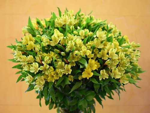 89469910 193926931914321 2879827898902751267 n.jpg