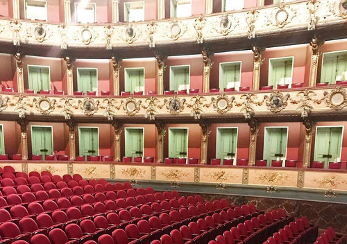 23668008 2113102565575871 7173061521415602176 n (2).jpg