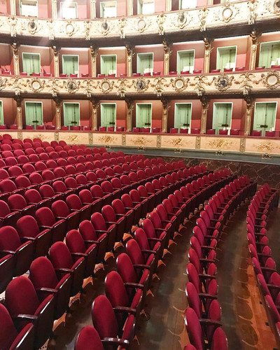 23668008 2113102565575871 7173061521415602176 n.jpg