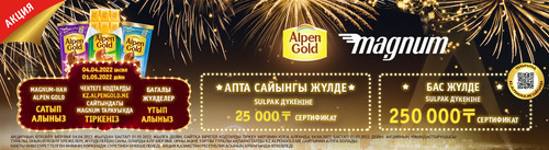 Magnum 1265 347 KZ 300 min.jpg