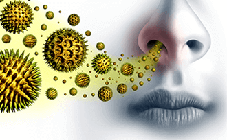 Recombinant Gly d 2 purchase.png