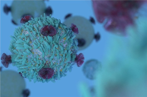 Virus Titering-TCID50 Assay.jpg