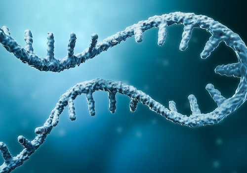 2'-O-MethylpseudoUridine-5'-Triphosphate purchase.jpg