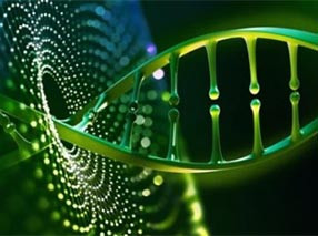 Plant Genome De Novo Service.jpg