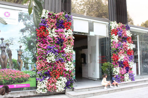 57186128 311462056186681 2290806383618922122 n.jpg