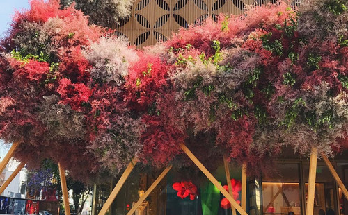 30604365 1861448887486822 5222998918509363200 n (2).jpg