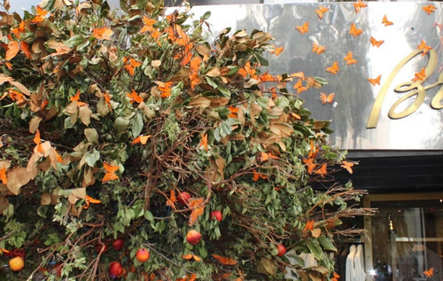 57618493 502955570240978 478513976220820239 n (2).jpg