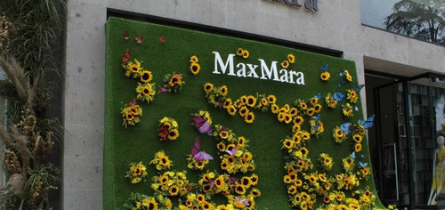 56298427 322830725046217 5017832511412902970 n (2).jpg