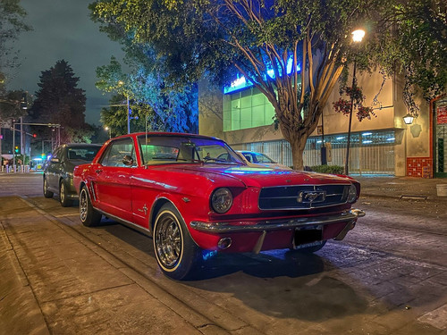 273659185 907170303308063 3642471546227337732 n.jpg