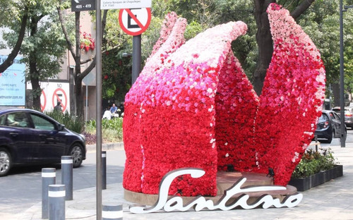 56252885 2308050916148926 4948327558045121090 n (2).jpg