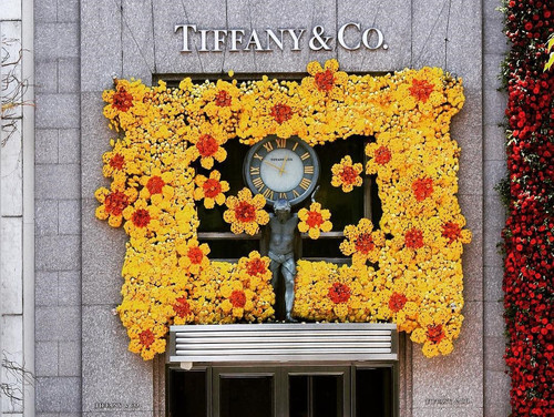 31117210 995234783968579 6083191163211218944 n (2).jpg