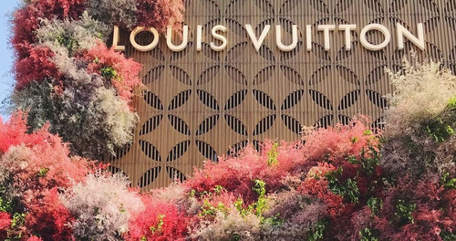 30604365 1861448887486822 5222998918509363200 n (3).jpg