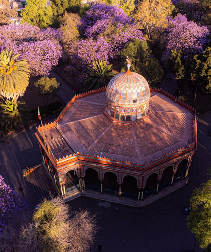 275337763 669503137802924 2472236772758669562 n.jpg